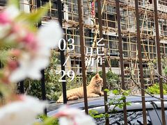 -高东镇樱花园