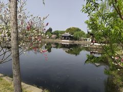 -无锡蠡湖国家湿地公园-蠡园