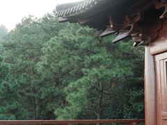 -黄牛肉馆·皖南土菜