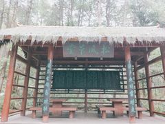 -铁山坪森林公园