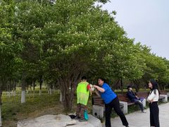-静园(和平区)
