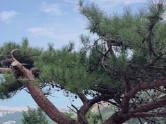 -崂山仰口游览区