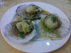元贝每只8元-海岛渔村大酒店(云霄路店)
