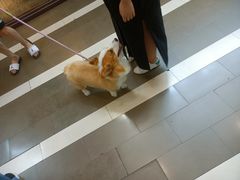 -万科美好广场