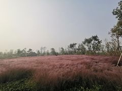 -河北省第三届（邢台园博园）园林博览会