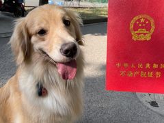 -房地产交易中心-停车场