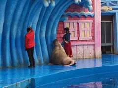 -华夏文旅海洋公园