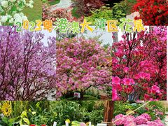 -深圳仙湖植物园