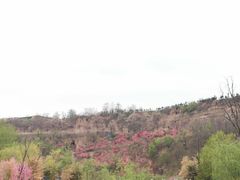 -渭南桃花源民俗文化园