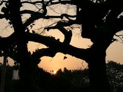 -普陀山风景名胜区-法雨禅寺