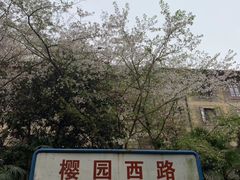 -武汉大学-樱园