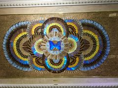 -上海昆虫博物馆