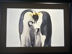 -罗红摄影艺术馆