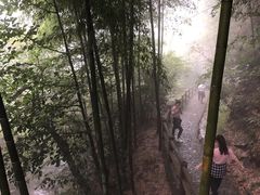 -藏龙百瀑风景区