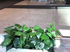 -COSTA COFFEE(静安嘉里中心店)