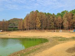 -青龙山国家森林公园