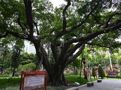 -广州中山纪念堂