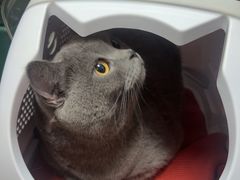 -联合动物医院(光谷诊疗中心)