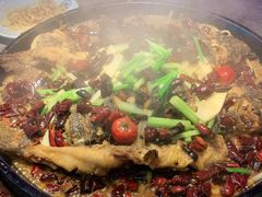 -老板恋上鱼(恒隆广场店)