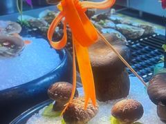 -漢頓温泉度假酒店