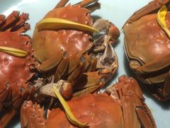 -蟹榭·本帮江浙菜·蟹宴(五角场合生汇商场店)