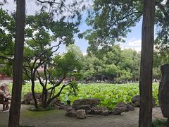 -莲池书院博物馆