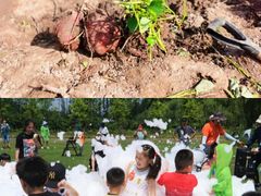 -前小桔亲子创意农场·草莓采摘·露营烧烤