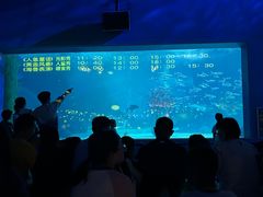 -常州海昌海洋探索馆