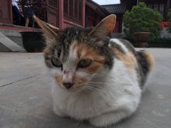 -南京金牛湖风景区