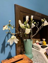 -HeyJewel全球独立设计师原创首饰集合店