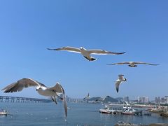 -星海广场