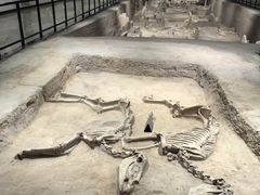 -洛阳周王城天子驾六博物馆