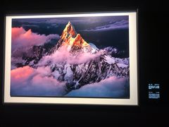 -罗红摄影艺术馆