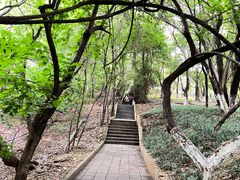 -攀枝花公园