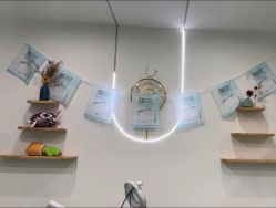 -苗医生专业祛痘·皮肤管理