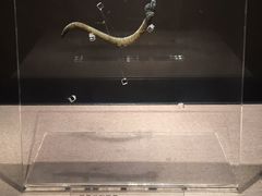 -荆州博物馆