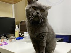 -康乐宝动物医院