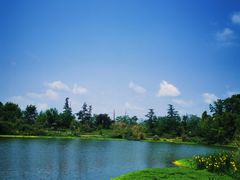 -桤木河湿地公园