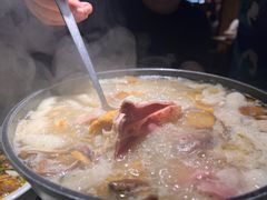 -滇铺子·云南特色菜·第九届野生菌美食节(曲靖万达店)