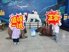 -蓬莱欧乐堡海洋极地世界