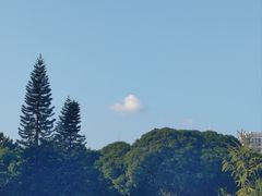 -西湖公园(鼓楼区)