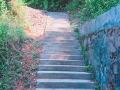 -广州市帽峰山景区