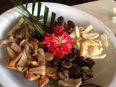 野生菌5拼-滇釜火锅·能喝汤的火锅(车公庄店)