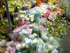 -循礼门鲜花花市(武汉循礼门店)