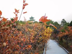 -北京西山国家森林公园