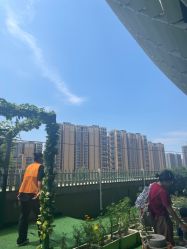 点击看大图 -可可天空农场(中大店)