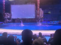 -华夏文旅海洋公园