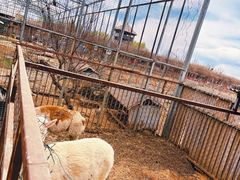 -河北村民俗体验园