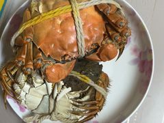 阳澄湖大闸蟹公-阳澄湖大闸蟹·琼灵阁牌品牌连锁(吴中总店)
