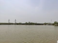 -大港湿地公园
